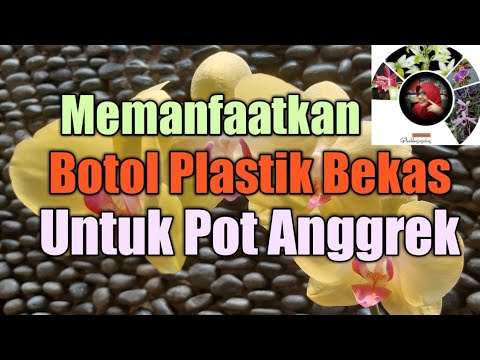 Memanfaatkan Botol Plastik  Bekas Untuk Pot  Anggrek  