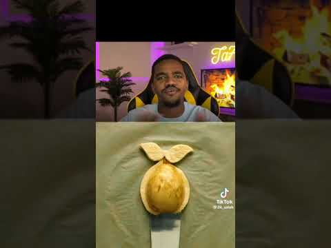 قصة تاحو و خويه و سن توب برت ١