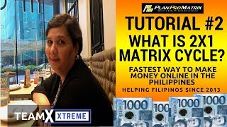 PLANPROMATRIX TUTORIAL #2 - What is 2x1 Matrix Cycle