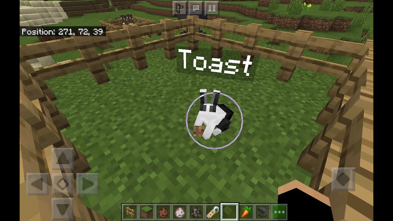 3 Names For Mobs That Will Have A CRAZY Effect On Them YouTube