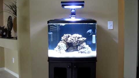 Biocube 29 HQI Saltwater Tank