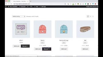 Simple Demo of the Google Address Autocomplete for WooCommerce plugin