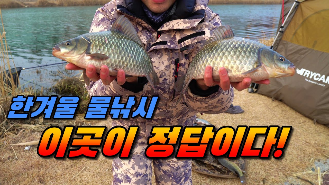 한겨울 붕어낚시 이곳이 정답 / 초대박 떼월척 쏟아지네