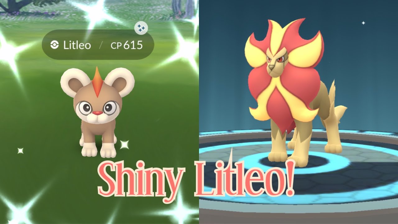 Catching SHINY Litleo In Pok mon Go Shiny Pyroar Evolution YouTube Catching SHINY Litleo In Pok mon Go Shiny Pyroar Evolution YouTube