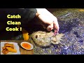 CUTTLEFISH - Catch Clean Cook , Delicious Crispy Cuttlefish, Bass Fishing