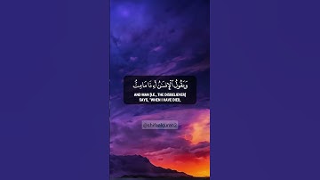 رَّبُّ السَّمَاوَاتِ وَالْأَرْضِ وَمَا بَيْنَهُمَا | تلاوة هادئة ومريحة بصوت عبدالرحمن مسعد