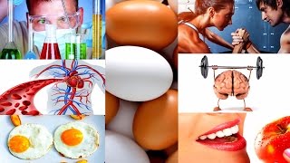 ЧТО БУДЕТ, ЕСЛИ СЪЕДАТЬ 1 КУРИНОЕ ЯЙЦО В ДЕНЬ ЧТО БУДЕТ, ЕСЛИ СЪЕДАТЬ 1 КУРИНОЕ ЯЙЦО В ДЕНЬ