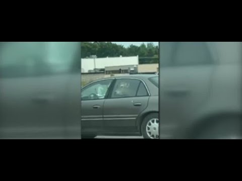 Only in Wisconsin: Cow spotted in drive-thru lane at McDonald's in Marshfield