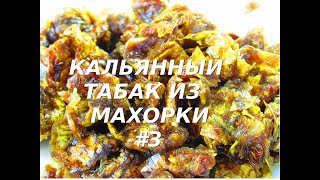 Кальянный табак из МАХОРКИ #3 | Hookah tobacco from MAHORKA # 3