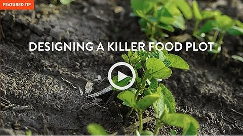 Food Plot Design | Deer Hunting Prep