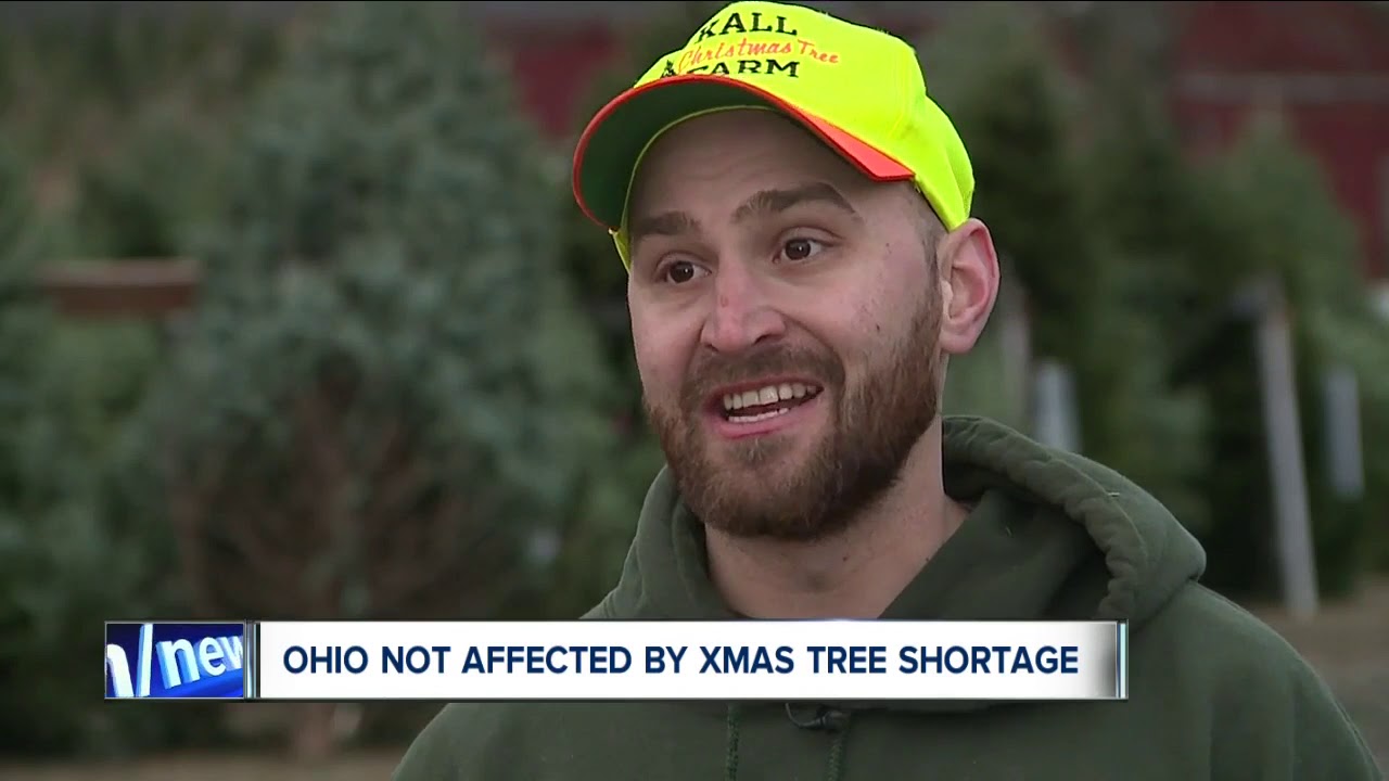Christmas tree shortage not a problem in Northeast Ohio YouTube