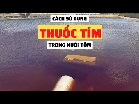 Công Thức Hóa Học Của Thuốc Tím - Cách Sử Dụng Thuốc Tím Trong Ao Nuôi Tôm | Nguyễn Minh Quốc #54