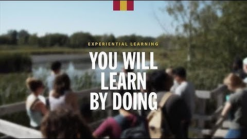 Experiential Learning: You will learn by doing