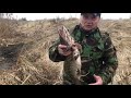 Плотва притупила, а щука клевала