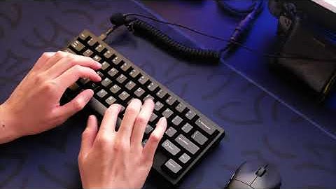 ai03 WKL Polaris | Alpaca