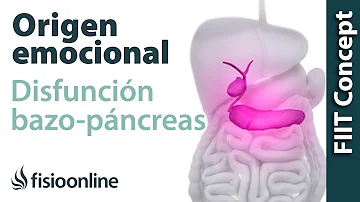 ¿A qué otros órganos puede afectar la pancreatitis?