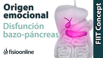 ¿Qué sobrecarga el páncreas?