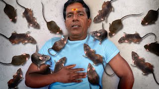 This Man Worships 20,000 Rats in India