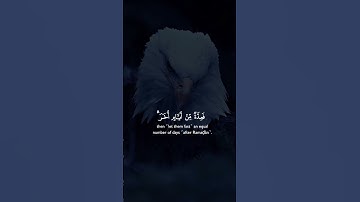 تلاوة من القرآن الكريم #تلاوة_خاشعة #القرآن_الكريم #راحة_نفسية #لايك #دويتو #اكسبلور #حالات_واتس