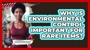 Why Is Environmental Control Important For Rare Items? - Epic World Record Holders