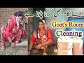 Goats room cleaning aisa kaam bhi karna parta hai village girl cleaning vlogs room cleaning