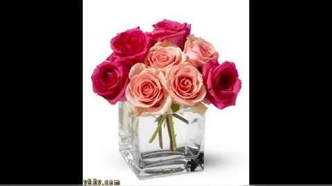 تلاوة (حجازية) خاشعة من سورة (الانفطار) الشيخ احمد حجازي Surah surat alainfitar - quran karim