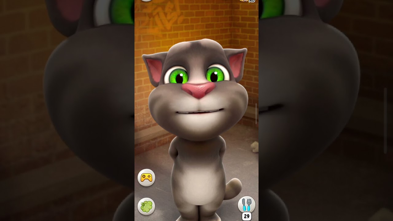 𝓶𝓮 𝓽𝓸𝓽𝓪 𝓱𝓸