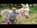 Labores del campo a la antigua usanza