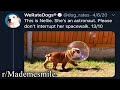 r/Mademesmile | SPACE BUBBLE DOG