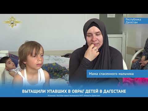 МВД России к