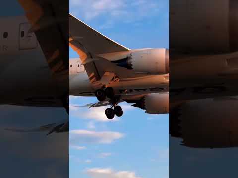 qantas 787-9 beautiful golden hour landing at lax - YouTube