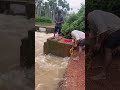 #short #shorts #shortvideo ഇഷ്ടപ്പെട്ടെങ്കിൽ സബ്സ്ക്രൈബ് ചെയ്യണേ🐟🐟🐟🐟🐟