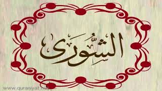 الشيخ محمد حسان - سورة الشورى