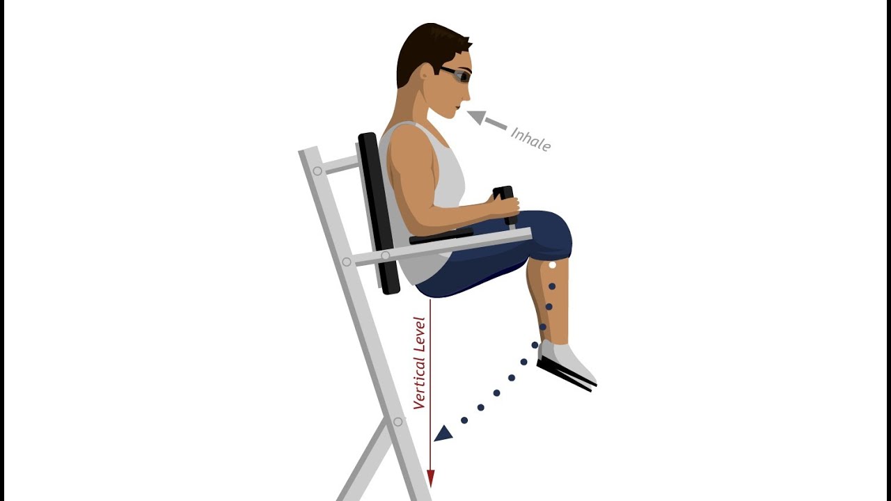 Roman Chair Leg Raise - Abdominal Exercises - YouTube