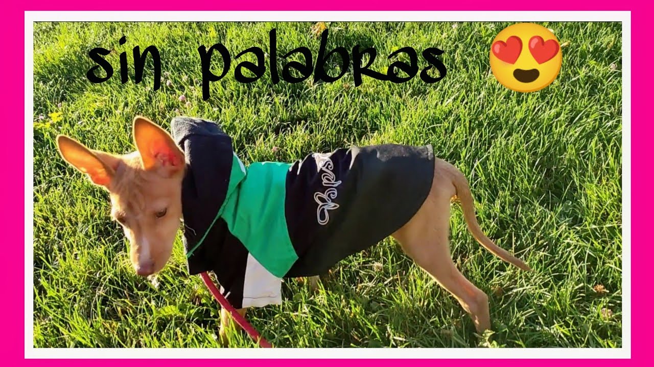 😍Guauuu 👌 Mejor 💪 área Caravanas Española ✅ Vas a flipar