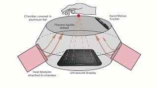 Famous Mid-Air Thermo-Tactile Feedback using Ultrasound Haptic Display Wealth