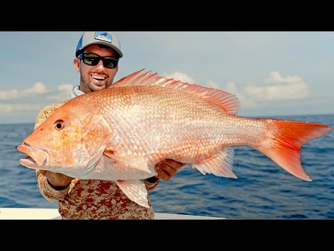 Opening Day of Red Snapper Fishing in Alabama