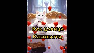 С 8 МАРТА!💐Смешное поздравление от кота!🐱