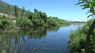 Aammiq Wetland, West Bekaa, Lebanon (2021-05-16)