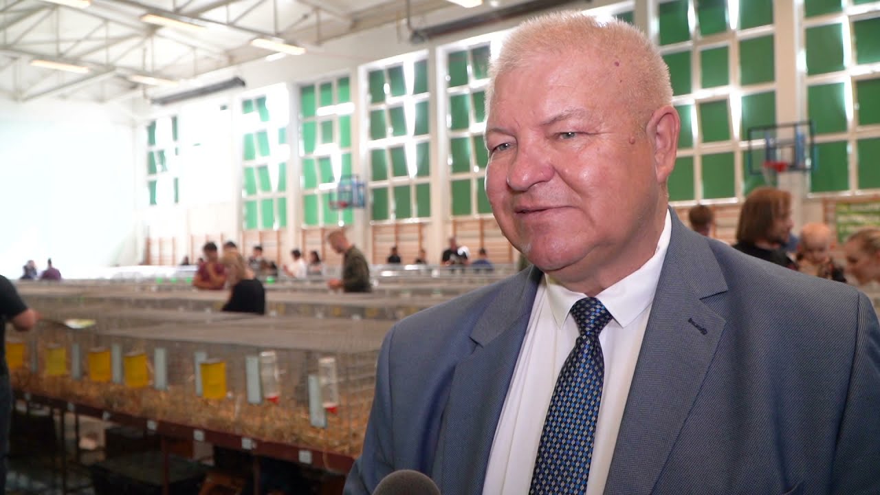 W Żychlinie zaprezentowano najbardziej okazałe króliki z całej Polski