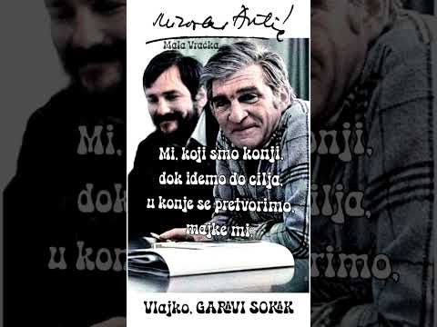 Miroslav Mika Antić – VLAJKO / Tekst  / govori Mika Antić