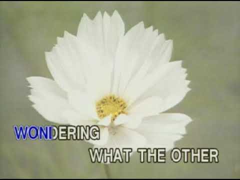 MUSIC13 Two Lovely Flowers - Eddie Peregrina
