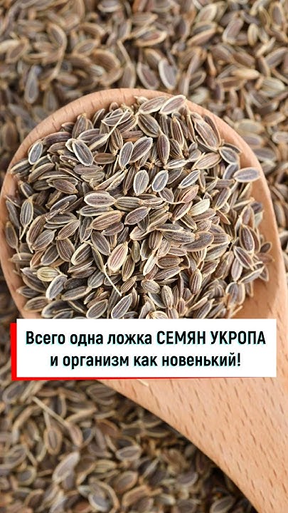 Укропное семя от запоров - YouTube