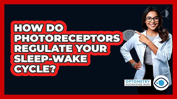 How Do Photoreceptors Regulate Your Sleep-wake Cycle? - Optometry Knowledge Base