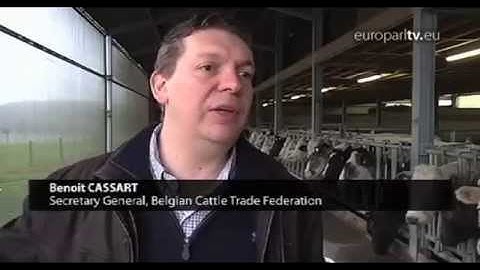 A dish of cloned meat?