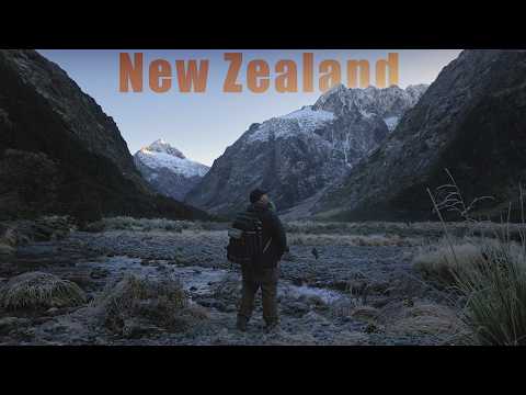 Forests, Streams & Mountains // New Zealand Landscape Photography