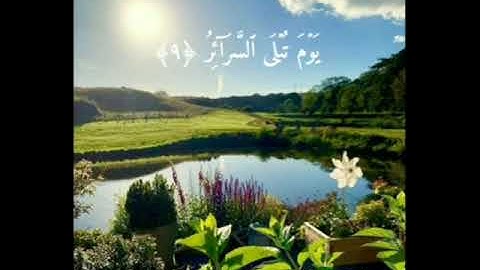 سورة الطارق ❤ القارئ صلاح البدير