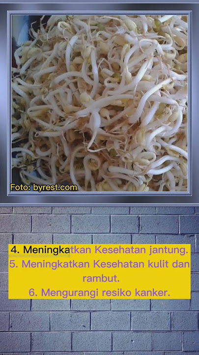 Manfaat toge untuk kesehatan Tubuh