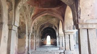 Begumpur Mosque, Delhi: Medieval Tughlaq fort and mosque in ruins due to negligence