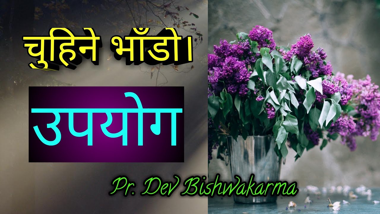 Nepali Message// चुहिने भाँडो काे उपयोग। Pr. Dev Bishwakarma